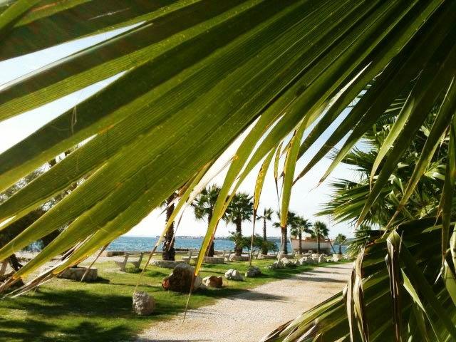 ויר Deby Beach House מראה חיצוני תמונה